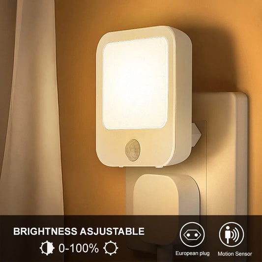 Night Light Motion Sensor